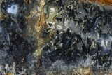 Polished Trent Agate With Stibnite & Realgar - Oregon #378037-1